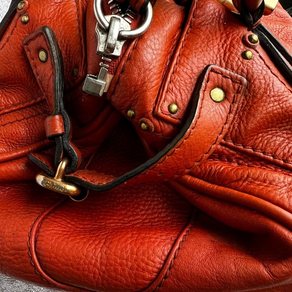 Pumpkin Chloë Paddington - Picture 8 of 11